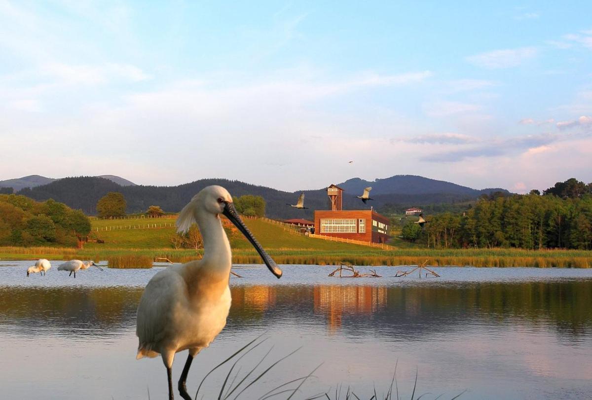 Adosado En La Costa Con Excelentes Vistas Al Estuario De Urdaibai Villa Mundaka Eksteriør billede